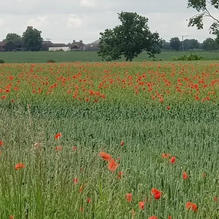 The Old School House 度假居